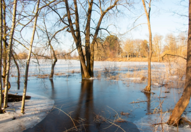 Весенний паводок: риски для здоровья и меры профилактики