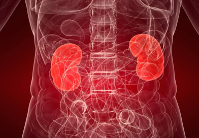 12 марта — Всемирный день почки