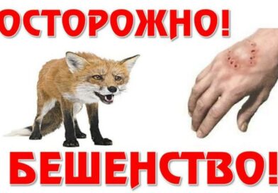 «Осторожно – бешенство!»